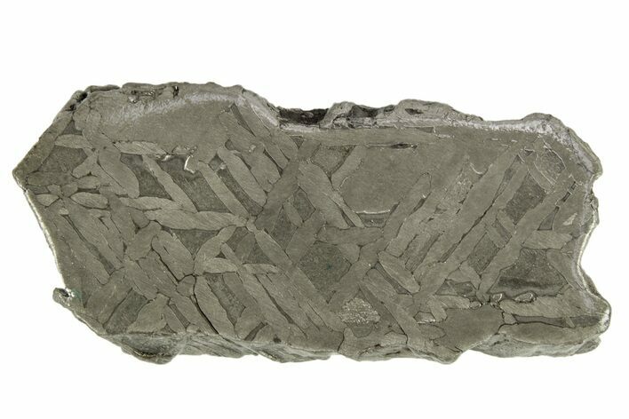 Etched Iron Meteorite ( g) Slice - NWA #263663